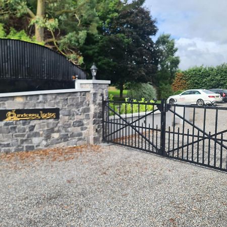 Dunderry Lodge Self Catering Family Lodges Navan Zewnętrze zdjęcie